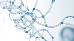 Molecular Disordered Connections